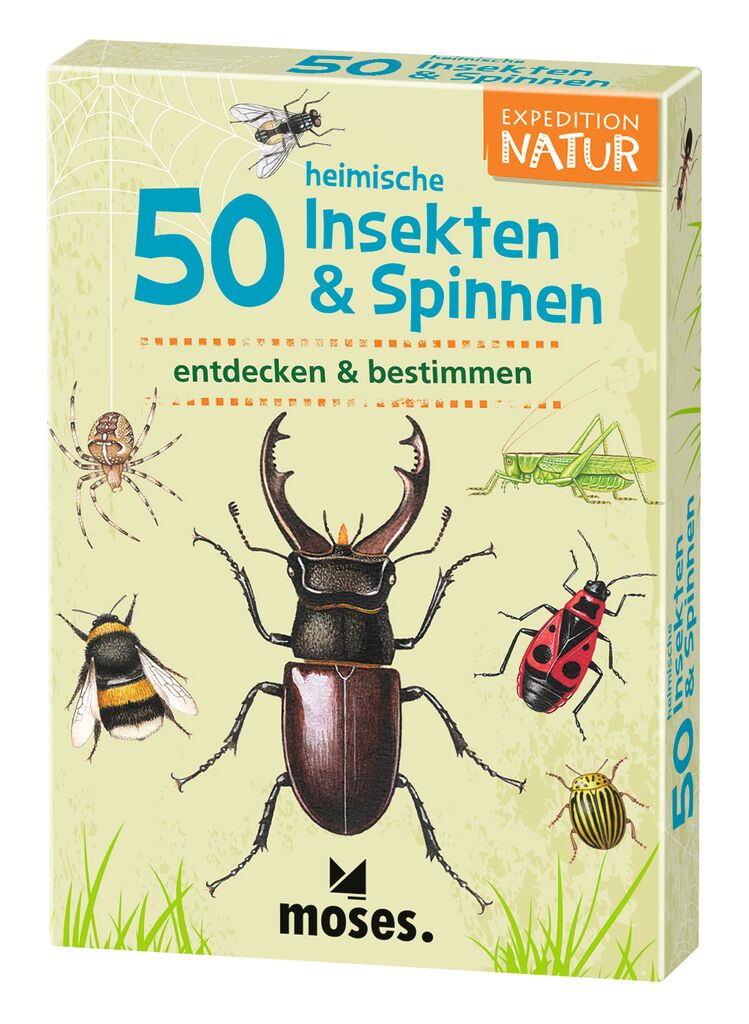 Expedition Natur - 50 heimische Insekten & Spinnen