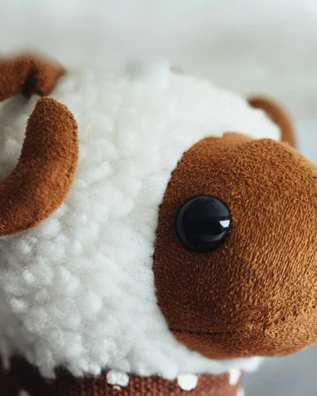 Wolle - Das flauschige Schaf